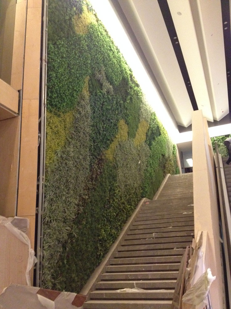 Australia Indoor Building Decoration Artificial Green Wall