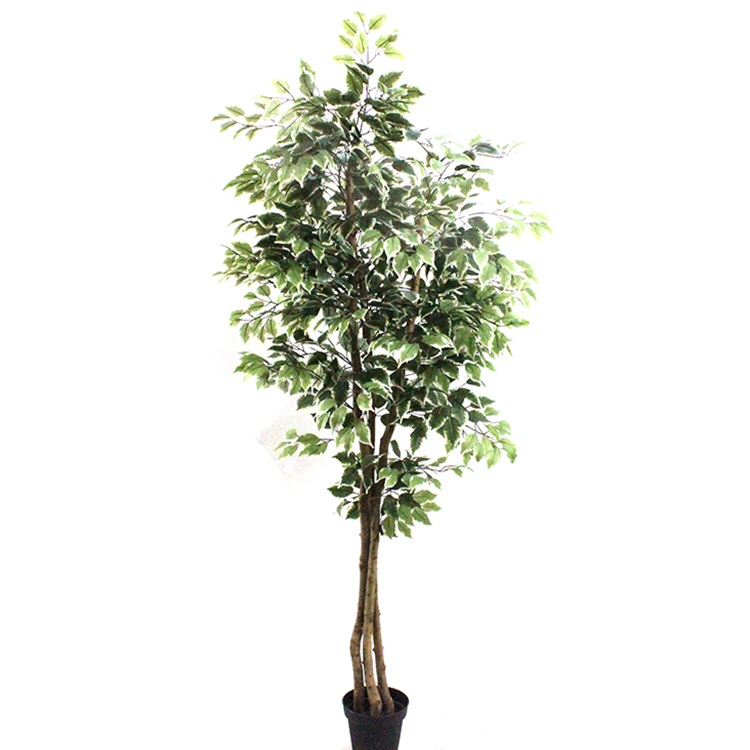  Hotel Decoration Indoor Artificial Ficus Tree