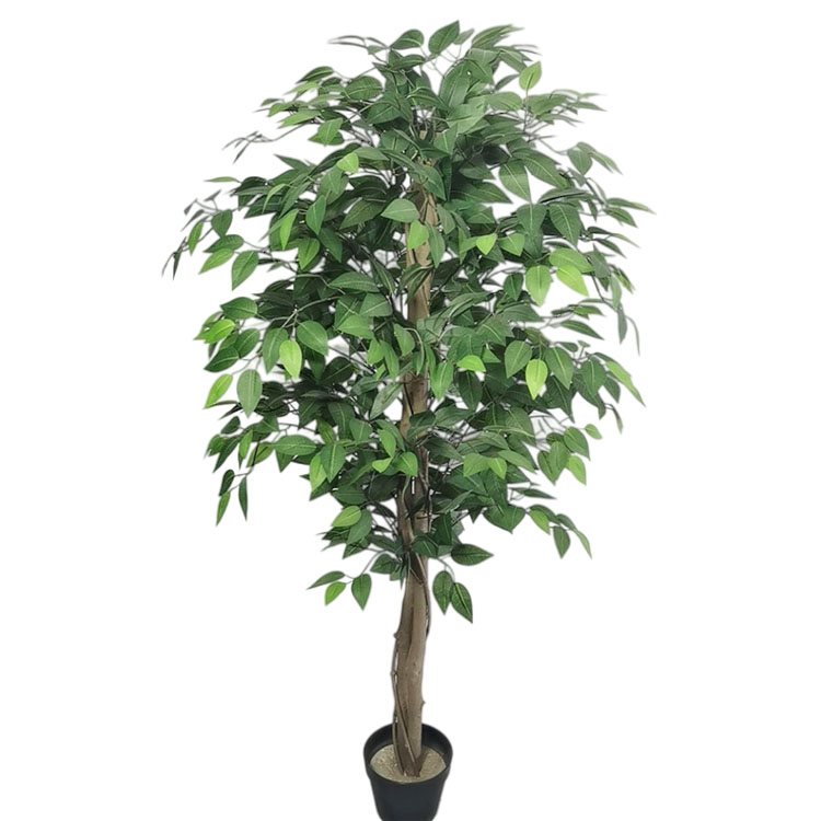 Australia Home Decoration Artificial Ficus Tree