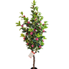 Gardon Decoration Indoor Artificial Camellia Tree