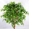Amazon Hot Sale Gardon Decoration Artificial Ficus Tree