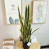 Clubhouse Decoration Indoor Artificial Agave