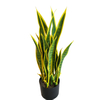 Mall Decoration Indoor Artificial Agave