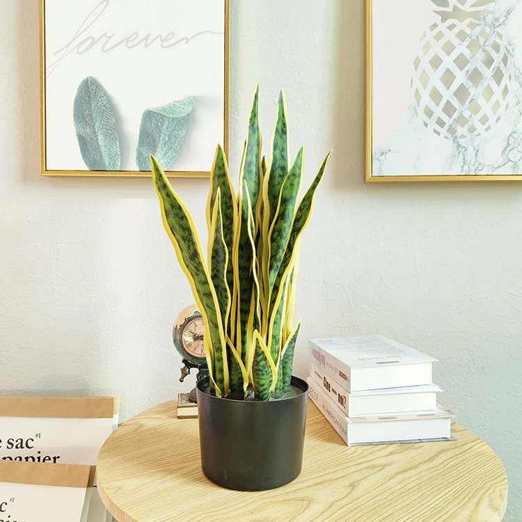 Tropical Africa Hotel Decoration Artificial Agave
