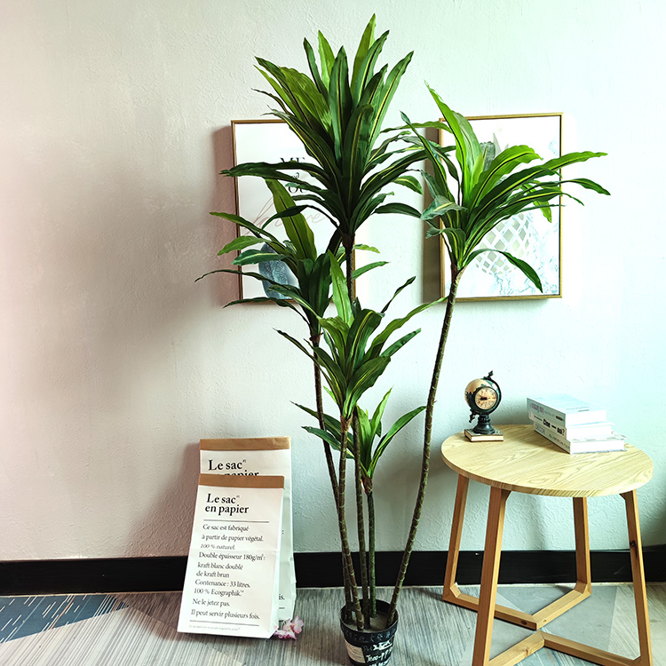 Thailand Hotel decoration indoor artificial Dracaena fragrans 
