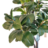 UK Office Decoration Indoor Artificial Watercress Leaf Tree 