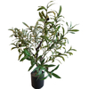 Wholesale Indoor Office Decor Artificial Olive Tree