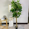 Cananda Indoor Hotel Decoration Artificial Fiddle Leaf Fig Tree 
