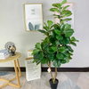 Cananda Indoor Hotel Decoration Artificial Fiddle Leaf Fig Tree 