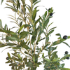  Ireland Hotel decoration indoor Artificial Olive Tree
