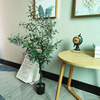 UK Indoor Mall Decoration Artificial Olive Tree 
