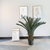 Philippines Bar Decoration Artificial Sago Cycas