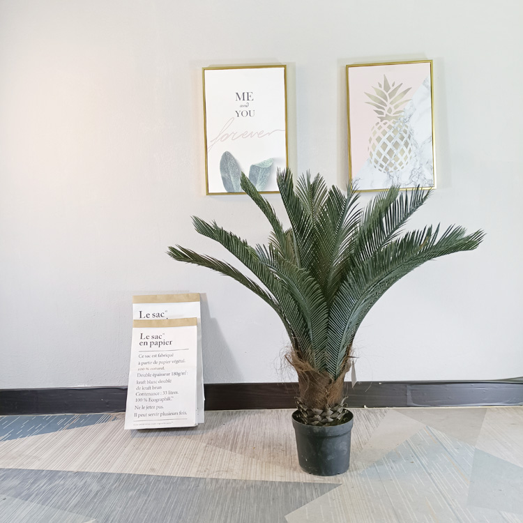 Philippines Bar Decoration Artificial Sago Cycas