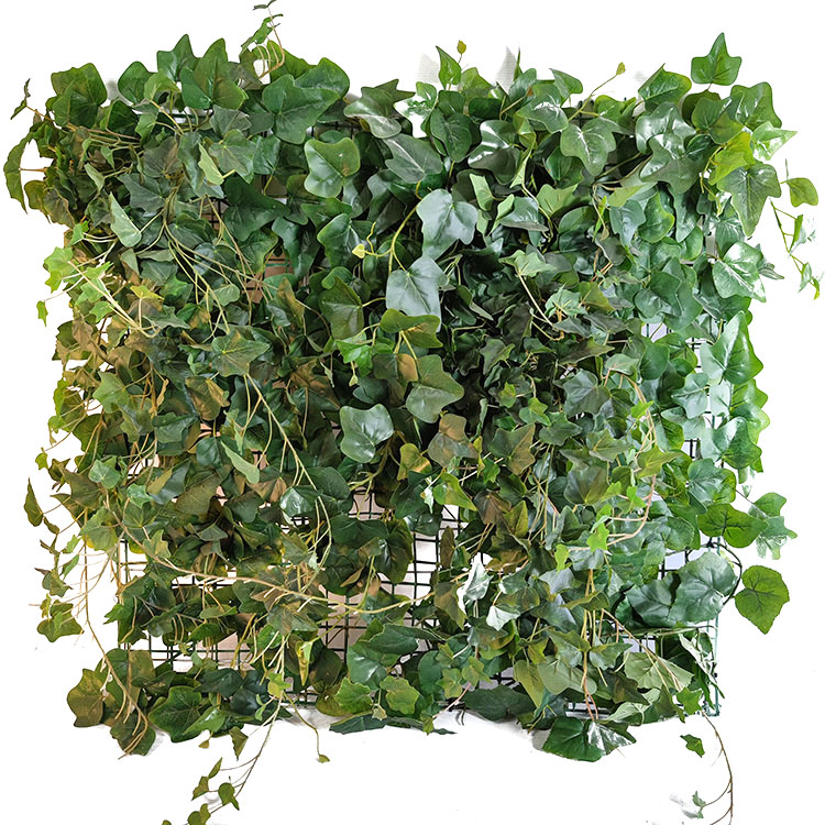 Australia Office Decoration Indoor Artificial Plant Wall 