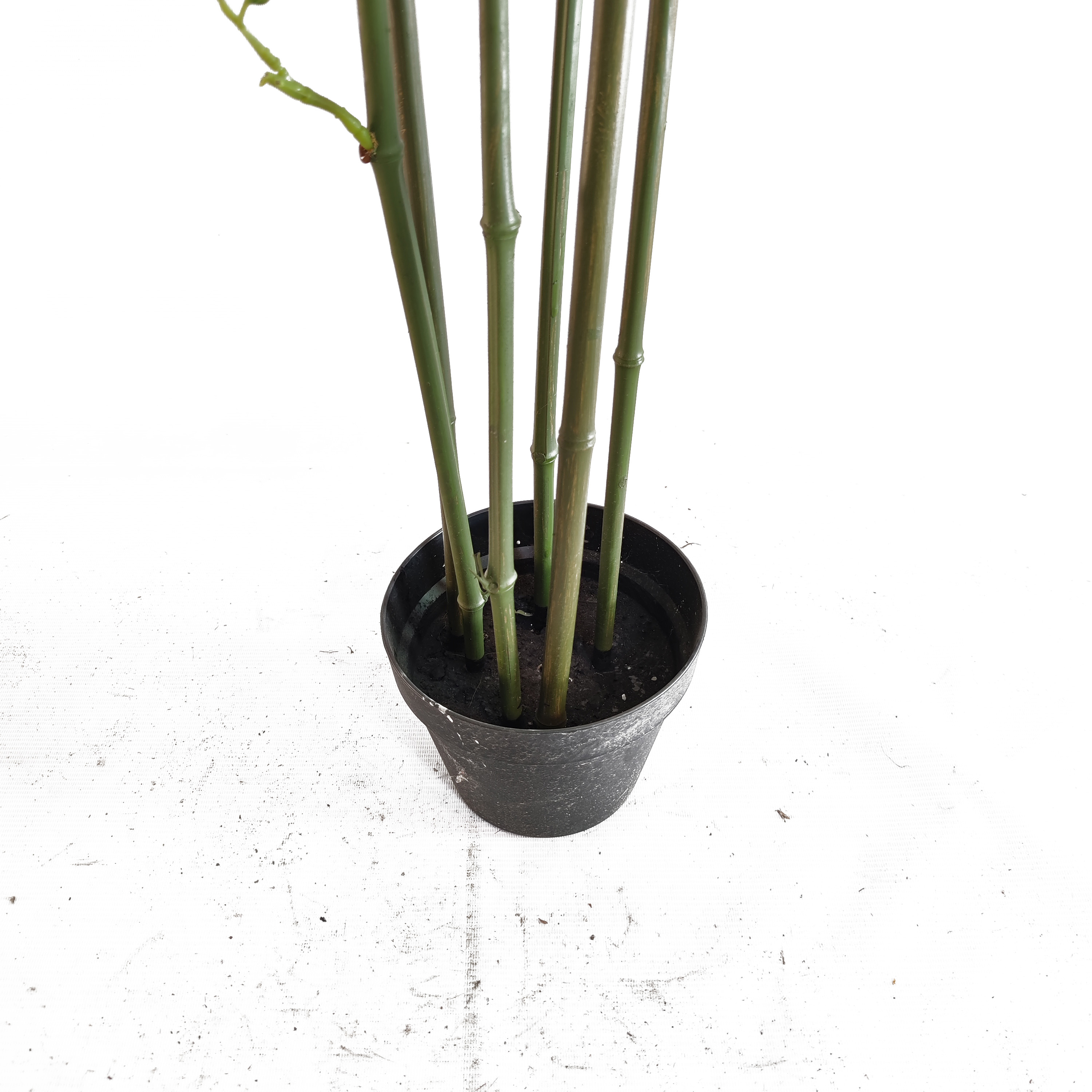Hotel Decoration Indoor Atficial Bamboo Tree 