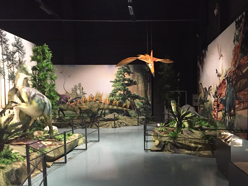 恐龙博物馆3