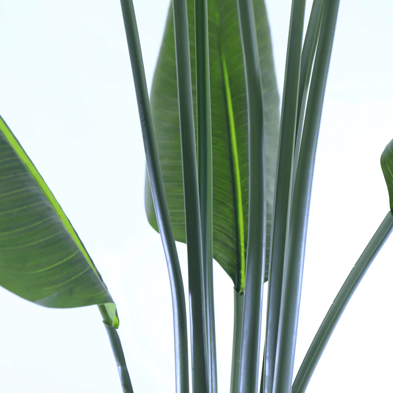 Mall decoration indoor Artificial Strelitziaceae