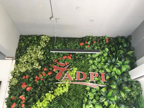 Philippines Clubhouse Decoration Artificial Green Wall