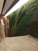 Australia Indoor Building Decoration Artificial Green Wall
