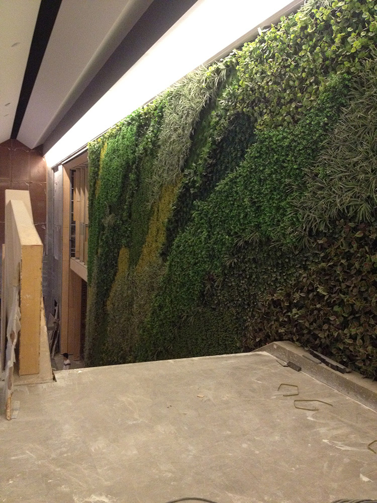 Australia Indoor Building Decoration Artificial Green Wall