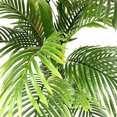 Canada Clubhouse Decoration Artificial Kwai Palm Tree